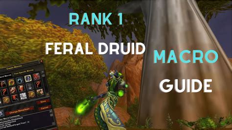 Community Forums: Best script / macro to handle druid wild.